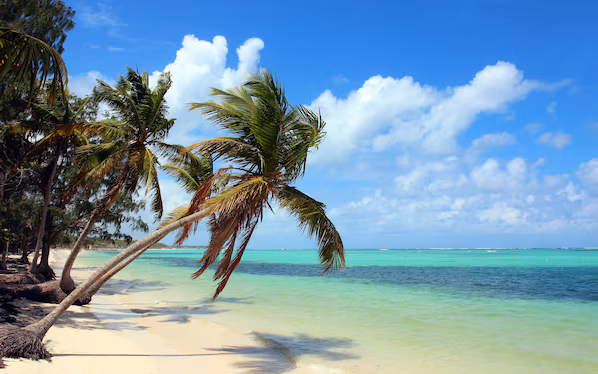 Bavaro Beach near Secrets Cap Cana Resort & Spa with expansive white sand beaches and turquoise Caribbean waters